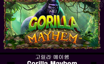 [프라그마틱] 고릴라 메이헴 (Gorilla Mayhem)