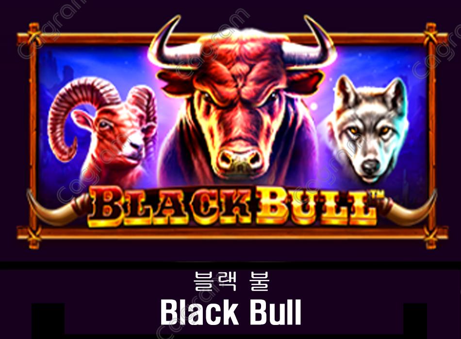 [프라그마틱] 블랙 불 (Black Bull)