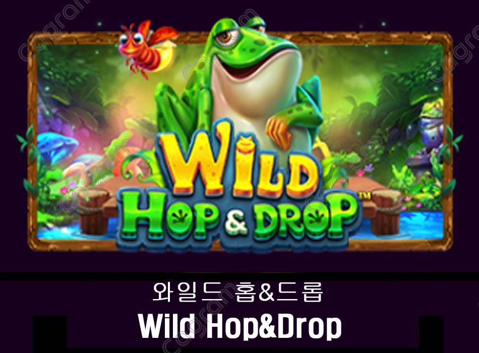 [프라그마틱] 와일드 홉 and 드롭 (Wild Hop and Drop)