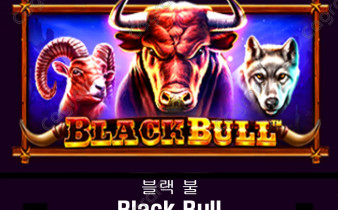 [프라그마틱] 블랙 불 (Black Bull)