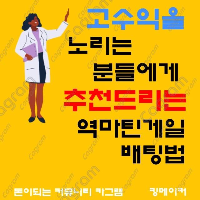 모르면 손해라는 최강의 역 마틴 배팅 전략