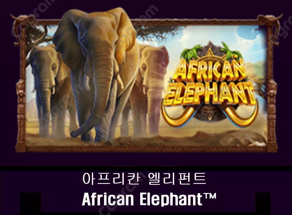 [프라그마틱] 아프리칸 엘리펀트 (African Elephant™)