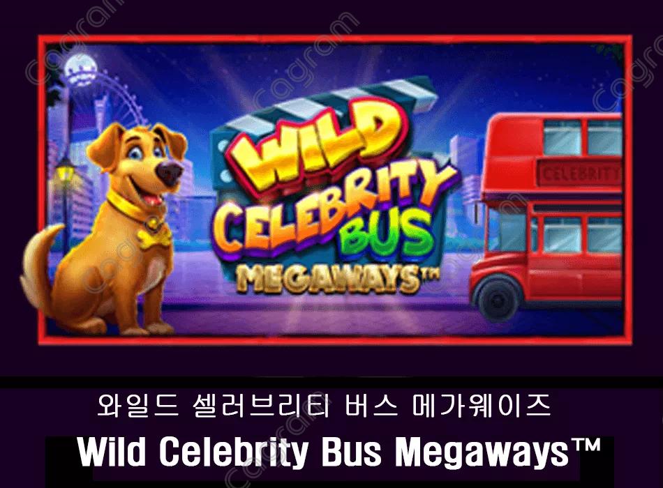 [프라그마틱] 와일드 셀러브리티 버스 메가웨이즈 (Wild Celebrity Bus Megaways™)