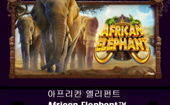 [프라그마틱] 아프리칸 엘리펀트 (African Elephant™)