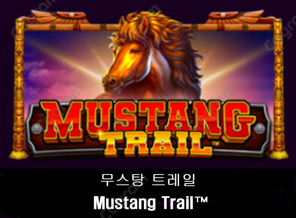 [프라그마틱] 무스탕 트레일 (Mustang Trail™)