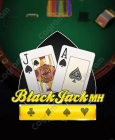 [플레이앤고] BlackJack MH