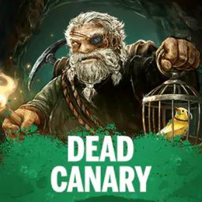 [노리밋시티] Dead Canary