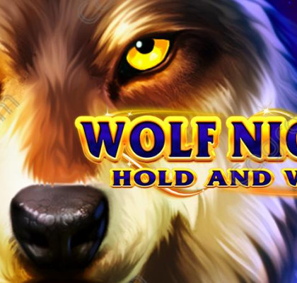 [부운고] Wolf Night