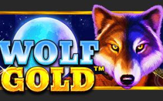 [프라그마틱] 울프 골드 WOLF GOLD