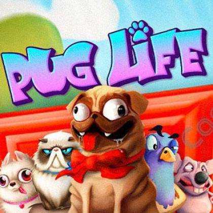 [헥소게이밍] PUG LIFE