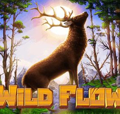 [하바네로] Wild Flow