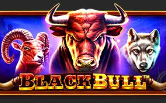 [프라그마틱] Black Bull