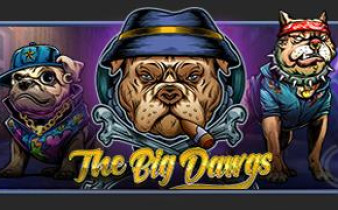 [프라그마틱] The Big Dawgs