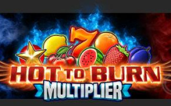 [프라그마틱] Hot to Burn Multiplier